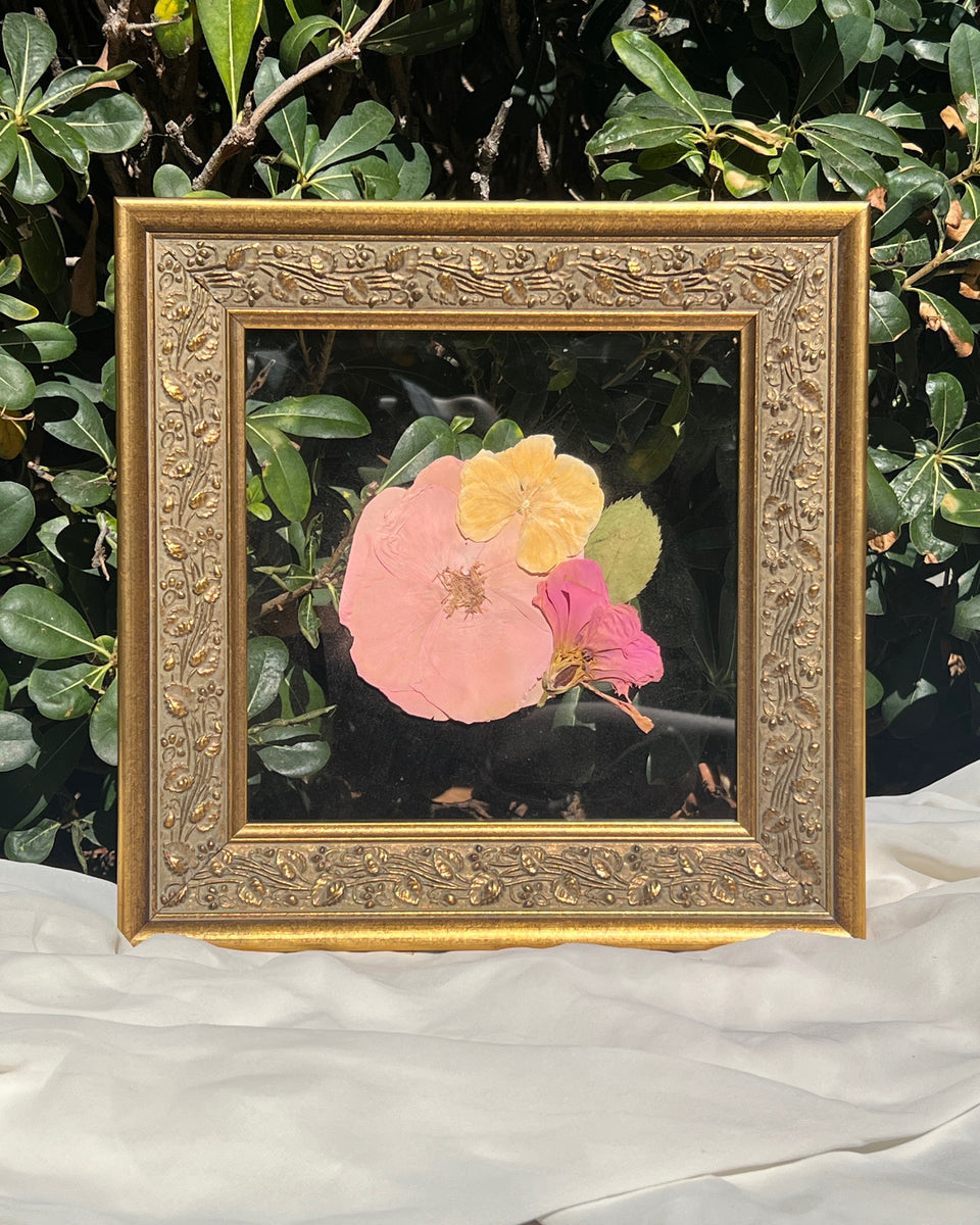 Pressed Flower Frames