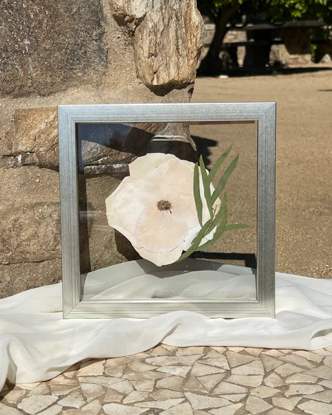 Pressed Flower Frames