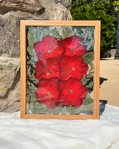 Pressed Flower Frames