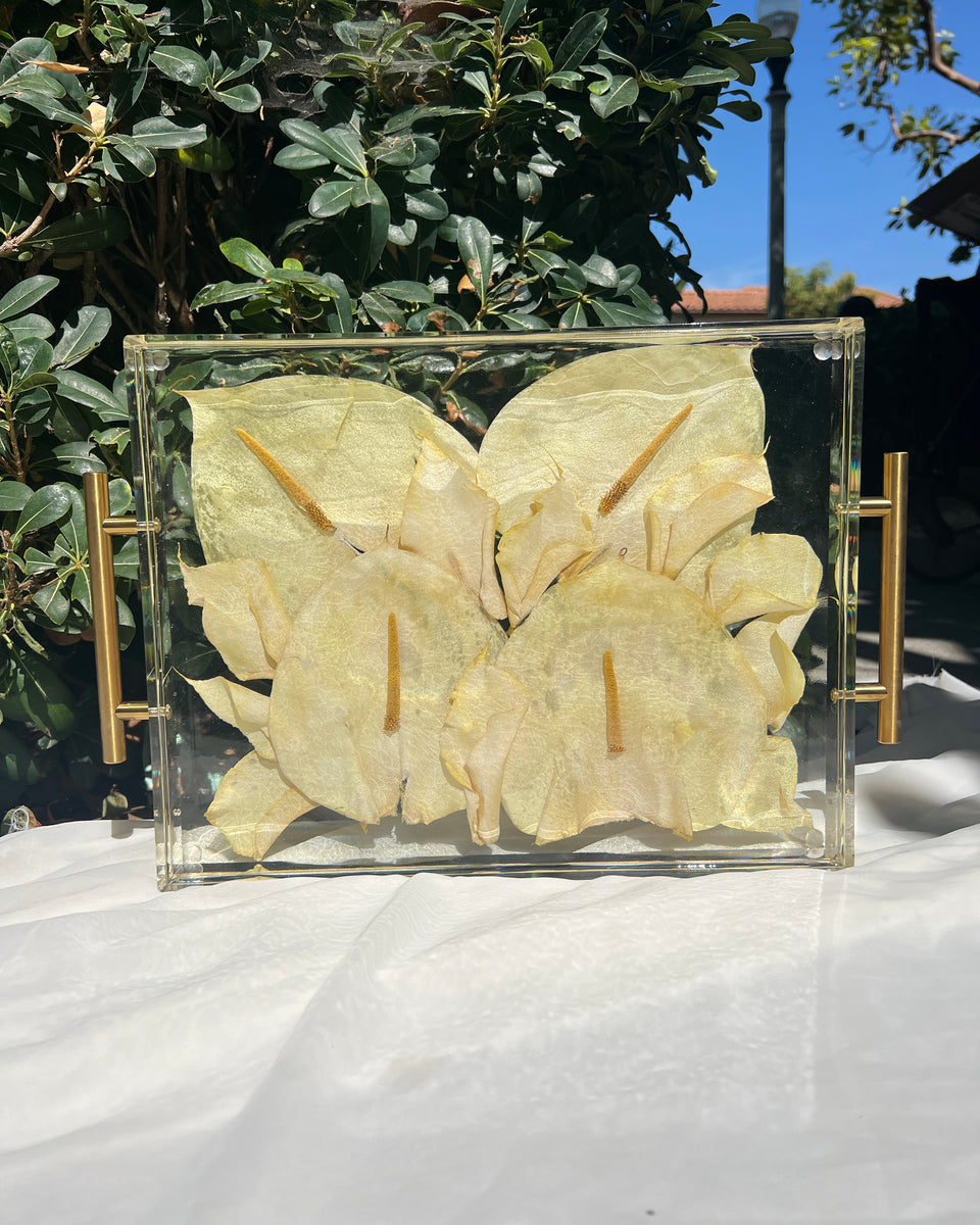 Preserved Flower Decorative Tray
