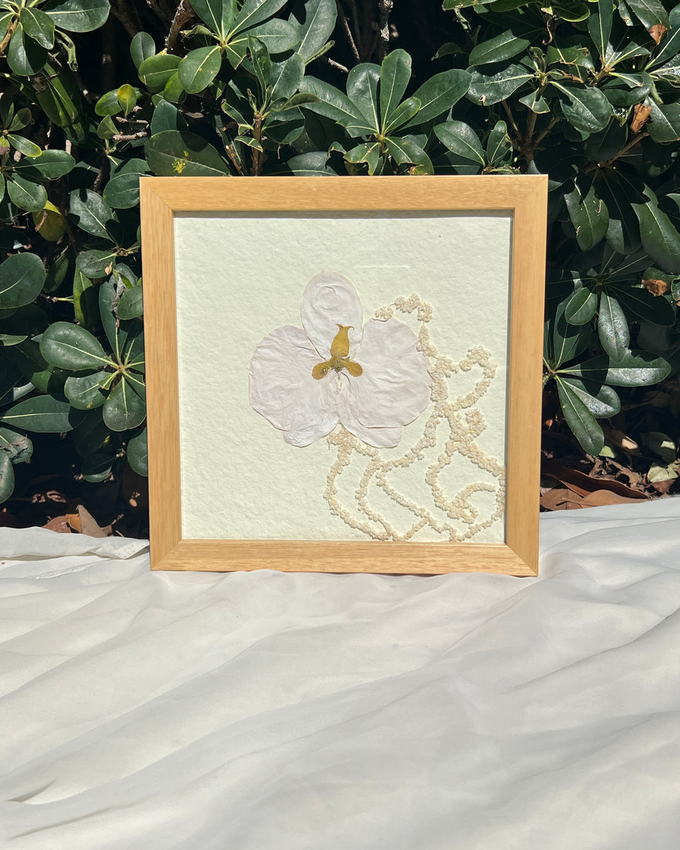 Pressed Flower Frames